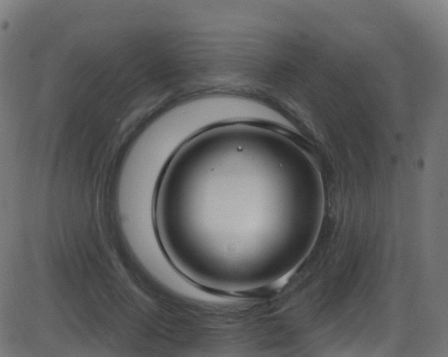 X0000086220740200704051240