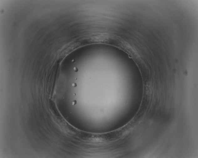 X0000086220741200704051240