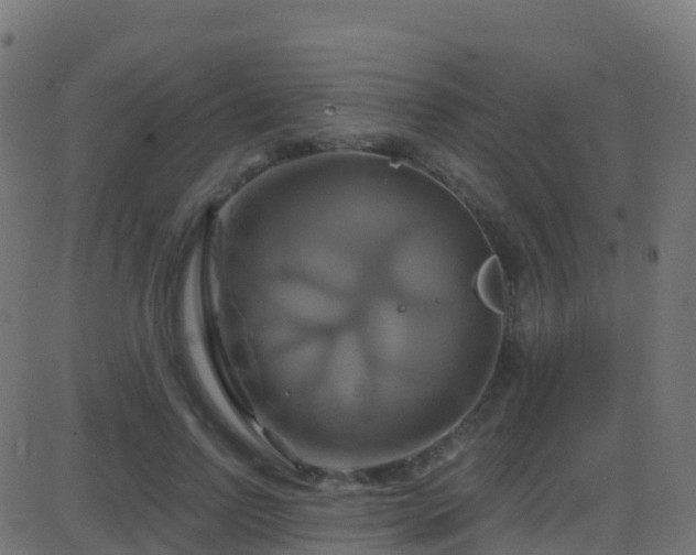 X0000086220742200704051240