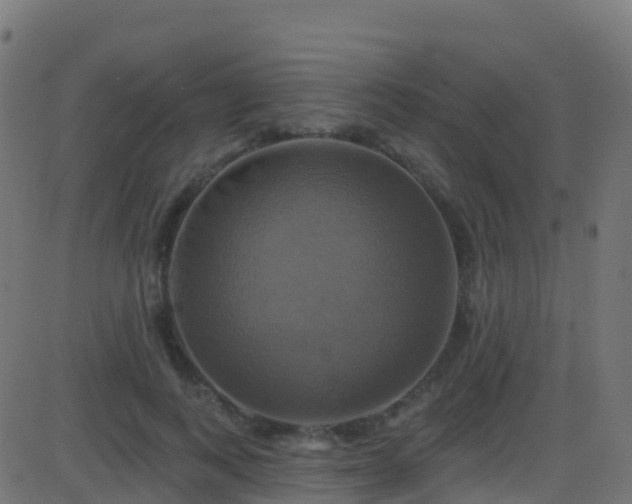 X0000086220743200704051240