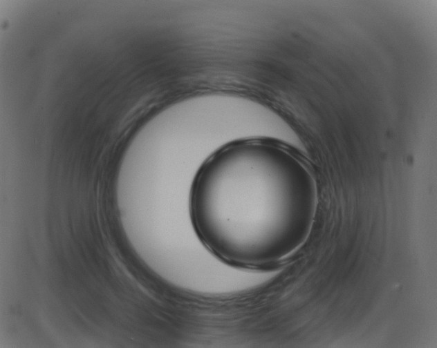 X0000086220744200704051240