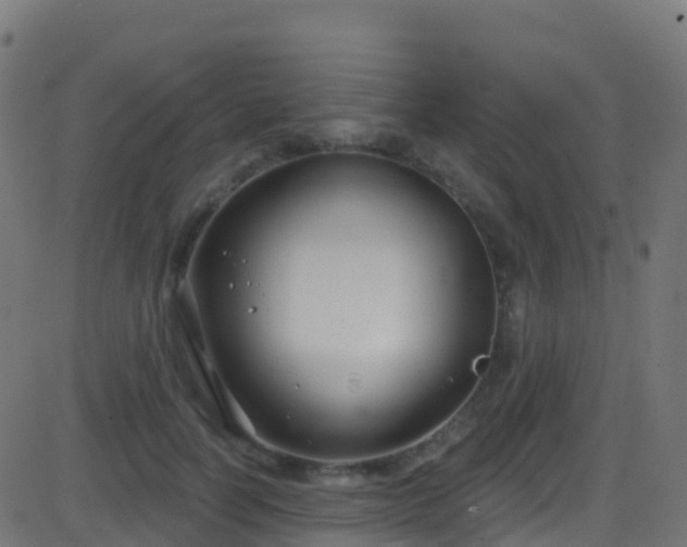 X0000086220746200704051240