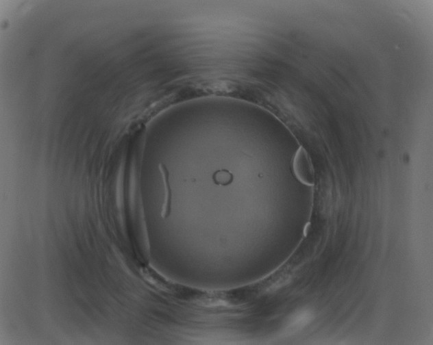 X0000086220747200704051240