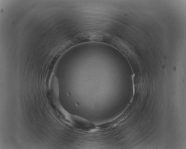 X0000086220748200704051240