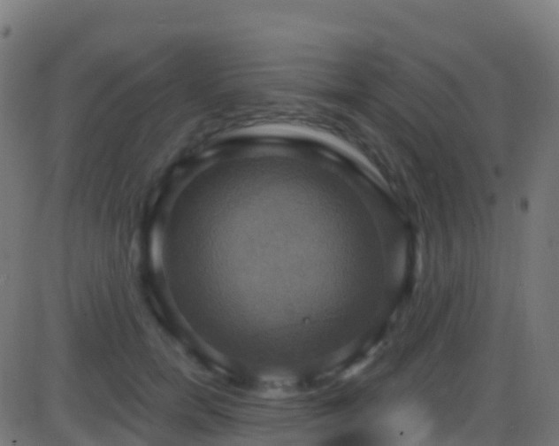 X0000086220750200704051240