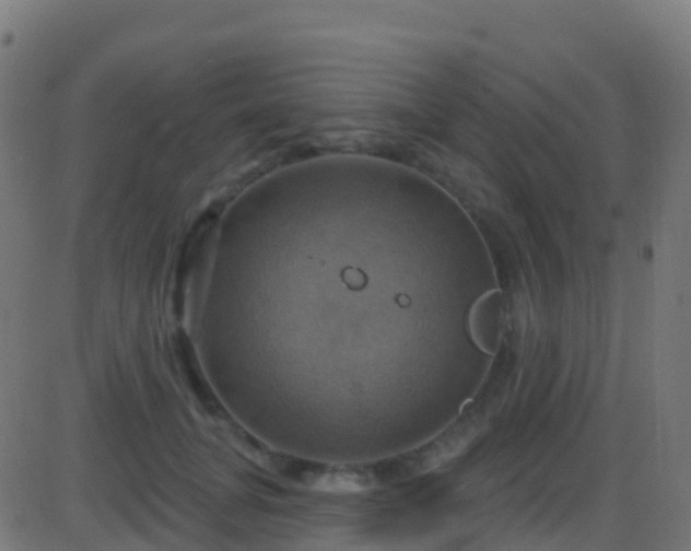 X0000086220751200704051240