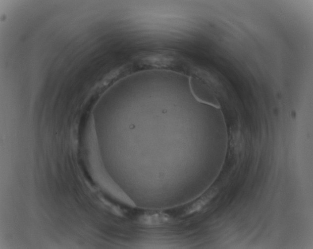 X0000086220752200704051240