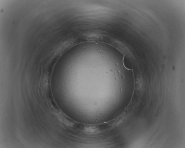 X0000086220753200704051240