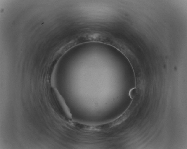 X0000086220754200704051240