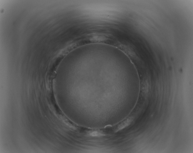 X0000086220755200704051240