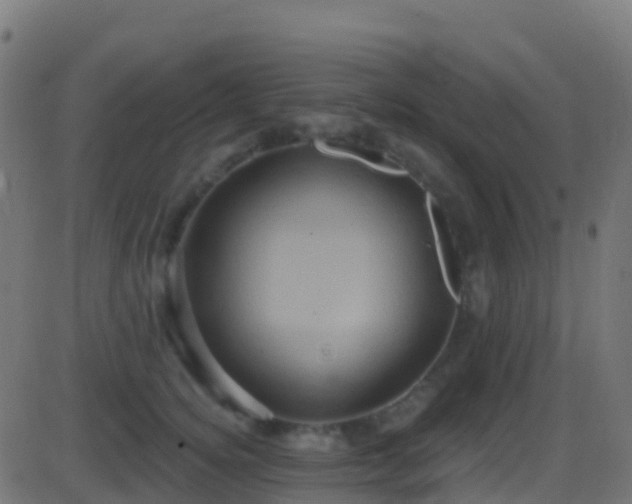 X0000086220756200704051240