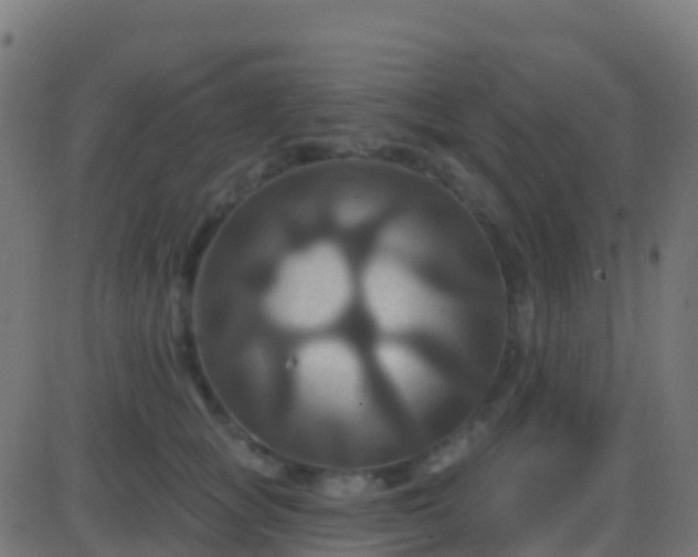 X0000086220757200704051240