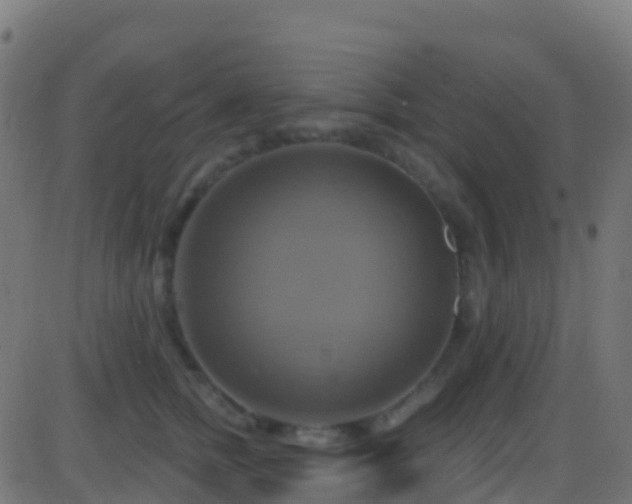 X0000086220758200704051240