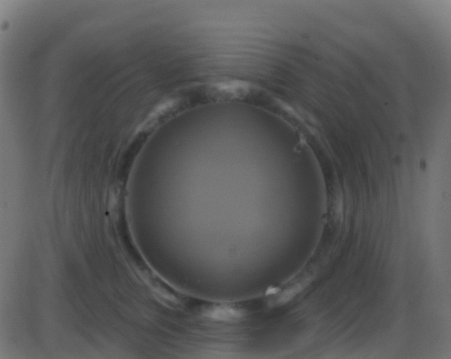 X0000086220759200704051240