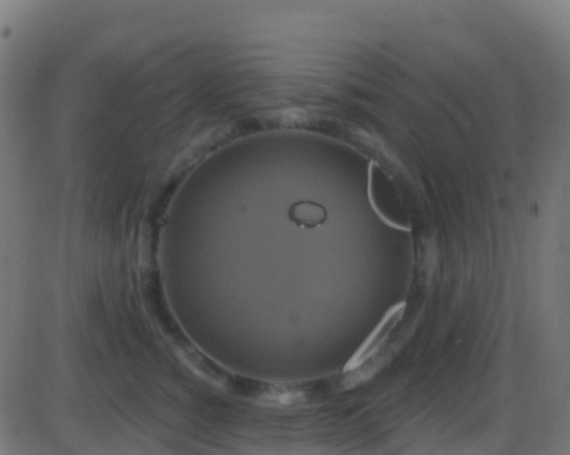 X0000086220760200704051240