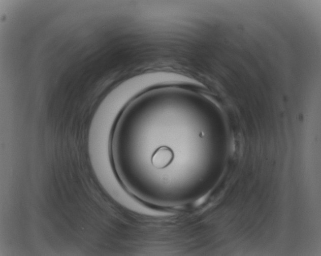 X0000086220762200704051240