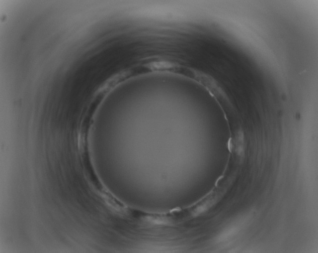 X0000086220763200704051240