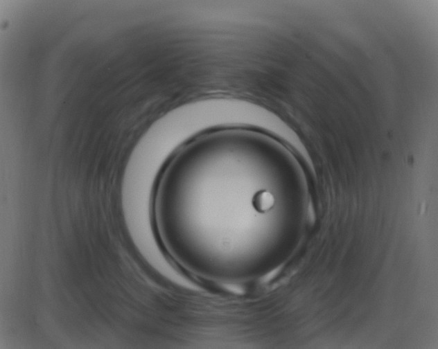 X0000086220764200704051240