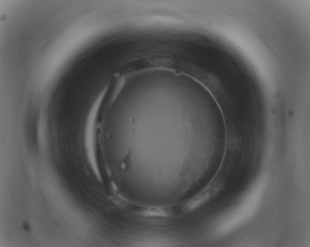 X0000086220765200704051240