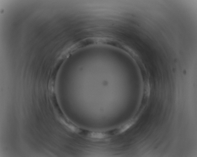 X0000086220766200704051240