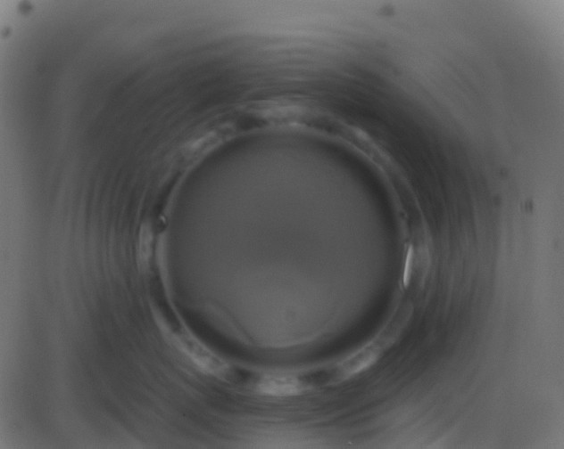 X0000086220767200704051240