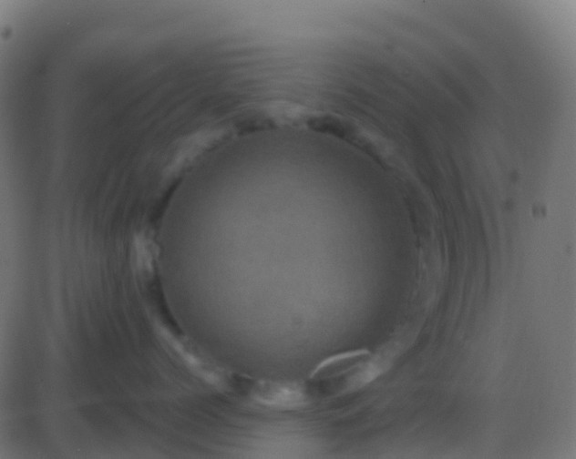 X0000086220768200704051240