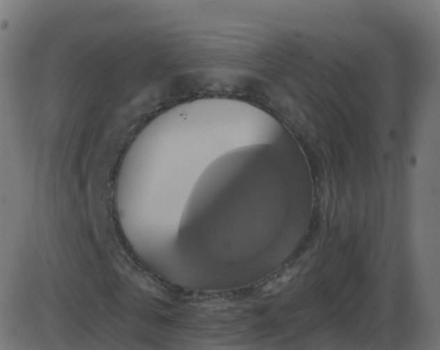 X0000086220769200704051239