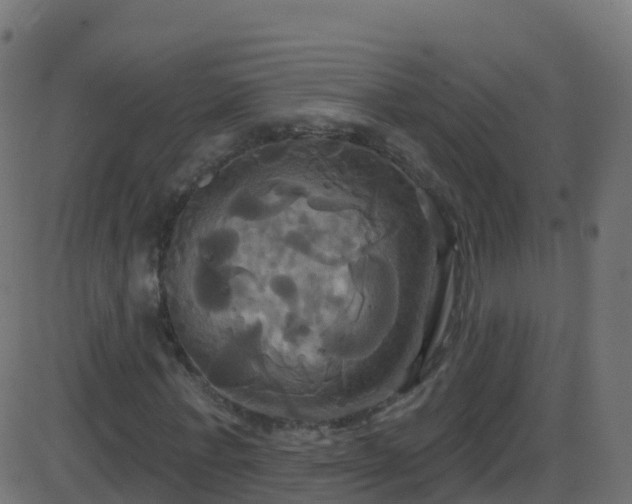 X0000086220771200704051239