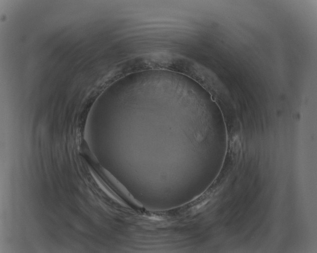 X0000086220772200704051239