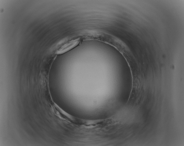 X0000086220773200704051239