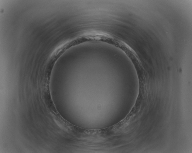 X0000086220775200704051239