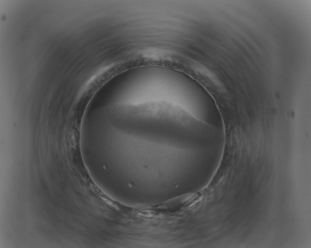 X0000086220776200704051239