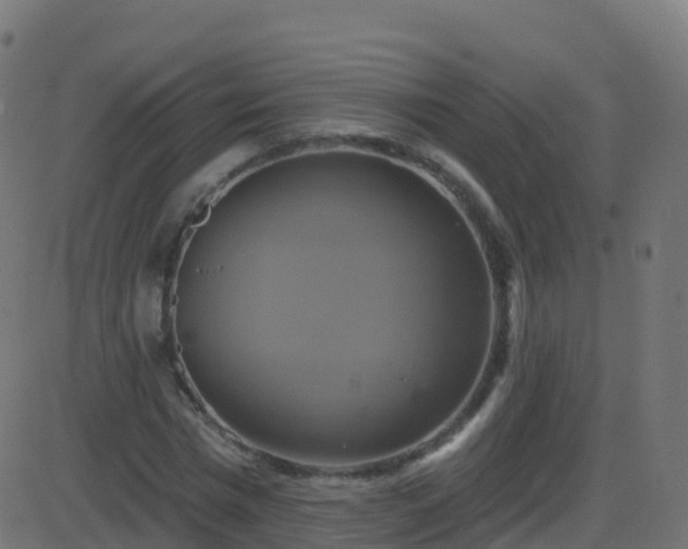 X0000086220777200704051239