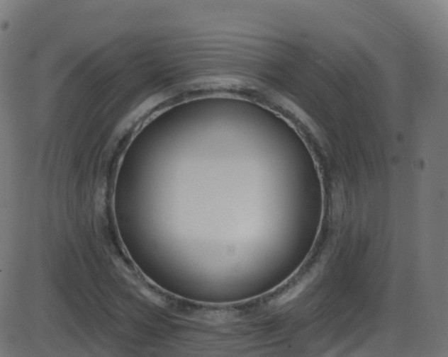 X0000086220778200704051239