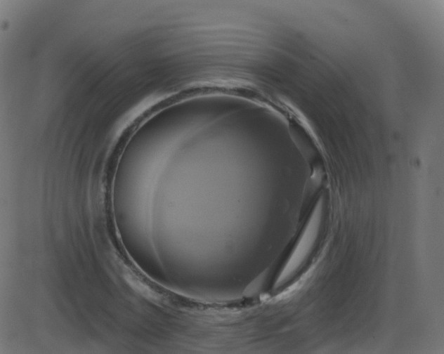 X0000086220779200704051239