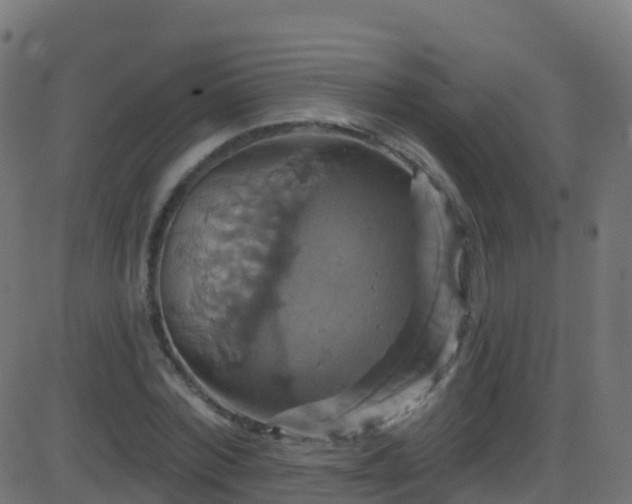 X0000086220780200704051239