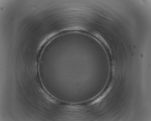 X0000086220781200704051239