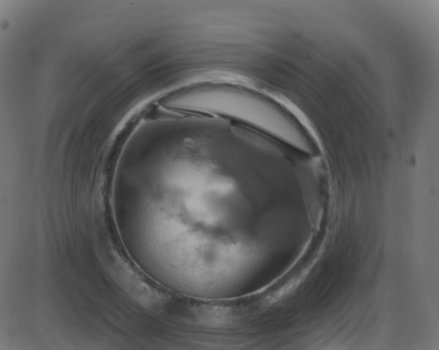 X0000086220783200704051239