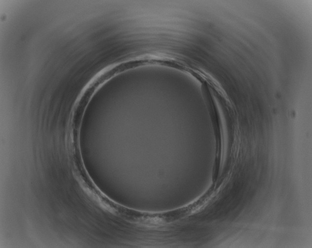 X0000086220784200704051239