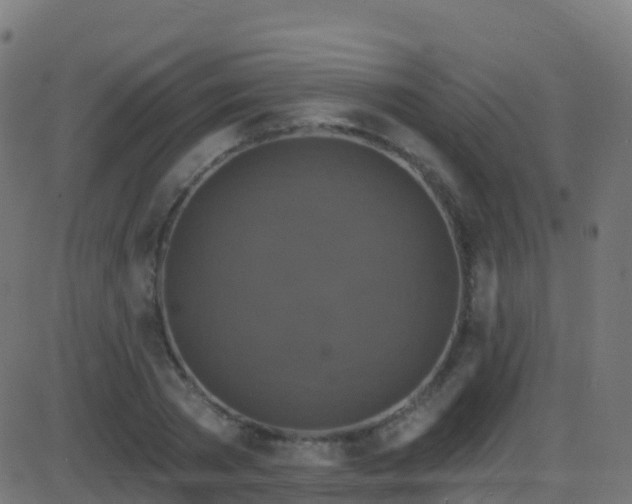 X0000086220785200704051239