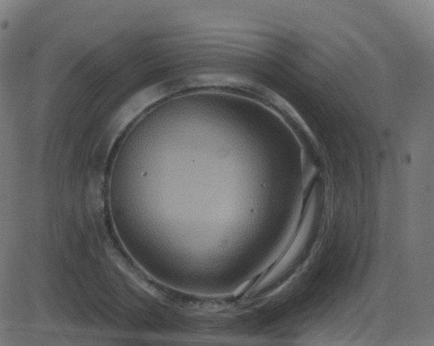 X0000086220786200704051239