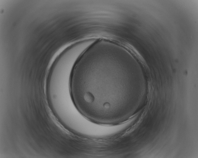 X0000086220788200704051239