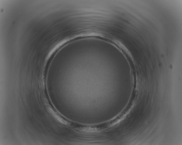 X0000086220789200704051239