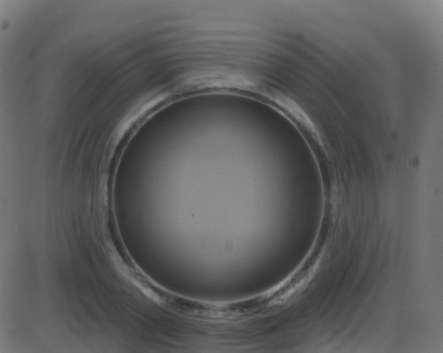 X0000086220790200704051239