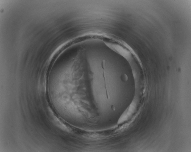 X0000086220791200704051239