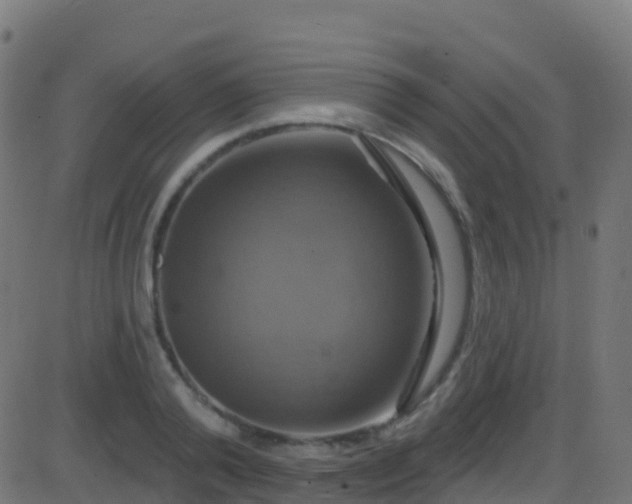 X0000086220792200704051239