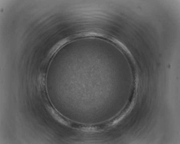 X0000086220793200704051239