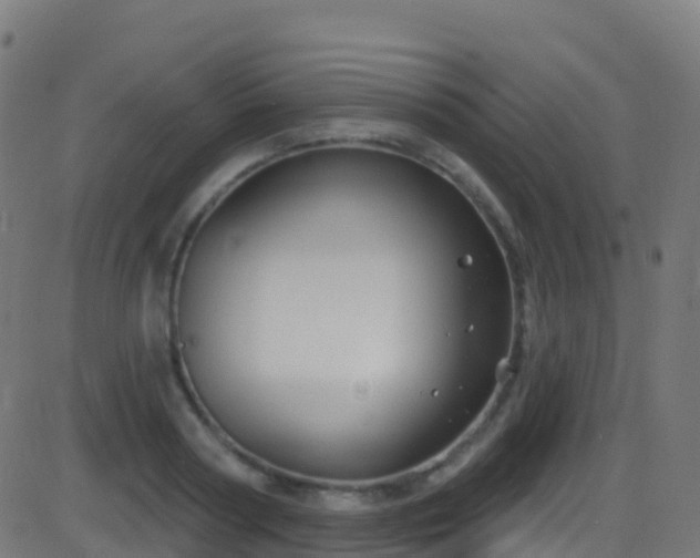 X0000086220794200704051239