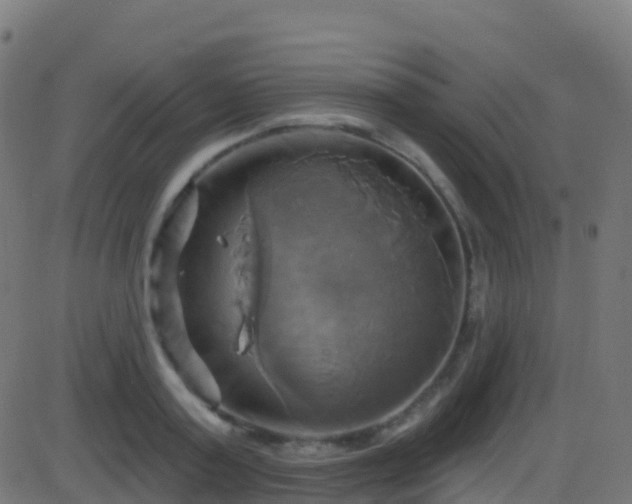 X0000086220795200704051239