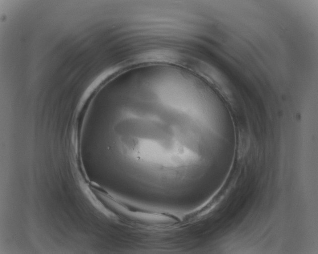 X0000086220796200704051239